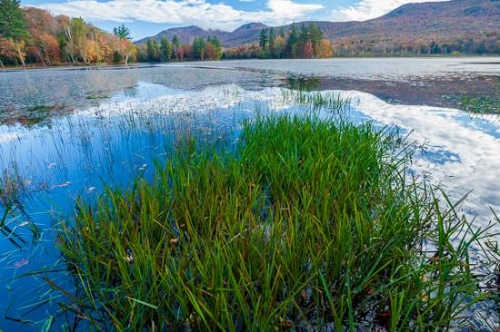 Autumn;Blue;Botanical;Branches;Brown;Calm;Cloud;Cloud Formation;Clouds;Cloudy;Fall;Fallen;Fallen Leaves;Gold;Hill;Horizontal;Mirror;Mountain;Mountain Side;Mountainous;Mountains;Nature;New England;Pastoral;Peak;Tan;Tree;United States;Vermont;Water;Waterscape;Weather;Yellow;foliage;grass;green;hillside;lake;landscape;leaves;oneness;orange;peaceful;plant;plants;pool;red;reflection;reflections;restful;serene;sky;soothing;tranquil;tree limbs;trees;zen