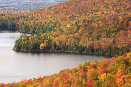 Groton State Forest;Woodlands;New England;Autumn;Vermont;Mountainous;Woods;Yellow;Precipice;Forest;Peak;Timberland;Landscape;Gold;Pinnacle;Summit;Woodland;Mountains;Timber;Orange;Lake;Wood;Range;Mountain;Lake Groton;Mountain Top;Fall
