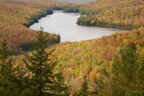 Woods;Hill;Forest;Orange;trees;Mountain;Autumn;Foliage;Woodlands;Hilltop;Lake;Hills;Gold;Mountains;Fall;Mountainside;Red;New England;Vermont;Green;tree
