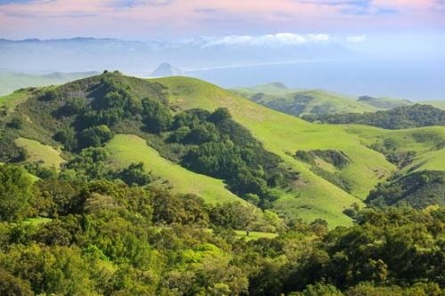 California;Grass;Green;Healing;Health care;Healthcare;Hillock;Hills;Hillside;Hilltop;Image type;Landscape;Mountainous;Outdoor;Peaceful;Photo specs;Tree;Trees;calm;restful;serene;soothing;tranquil