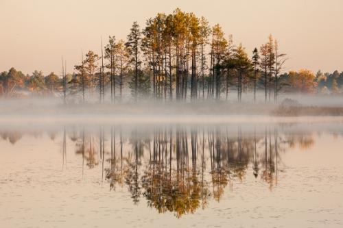 Break of Day;Brown;First Light;Fog;Forest;Gold;Great Lakes;Michigan;Mist;Obscured;Seney National Wildlife Refuge;Sun-up;Sunlight;Tree;United States;Upper Peninsular;Water;White;Yellow;color;dawn;daybreak;foggy;green;haze;misty;morning;orange;red;reflection;reflections;sunlit;trees