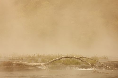 Cascading;tree limbs;Chute;River;Sandstone Falls;Gold;Cascade;Falls;foggy;haze;Streaming;branch;Yellow;Tan;Water;misty;log;tree;fog;Waterfalls;West Virginia;Weather;mist;Waterfall;branches;Pouring