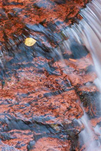 Adams Falls;Autumn;Botanical;Botanicals;Boulder;Boulders;Brown;Calm;Cascade;Chute;Concepts;Creek;Fall;Fallen;Fallen Leaves;Falls;Flow;Gold;Healing;Health care;Healthcare;Leaf;Leaves;Minimalism;Oneness;Pastoral;Pennsylvania;Plant;Pouring;Ricketts Glenn State Park;River;Rock;Rock formations;Rocks;Stone;Stones;Stream;Stream Bank;Streaming;Sunlight;Sunshine;Tan;United States;Veins;Wabi Sabi;Water;Waterfalls;Yellow;flowing;foliage;peaceful;plants;rapids;restful;river bank;serene;soothing;sunlit;tranquil;waterfall;zen