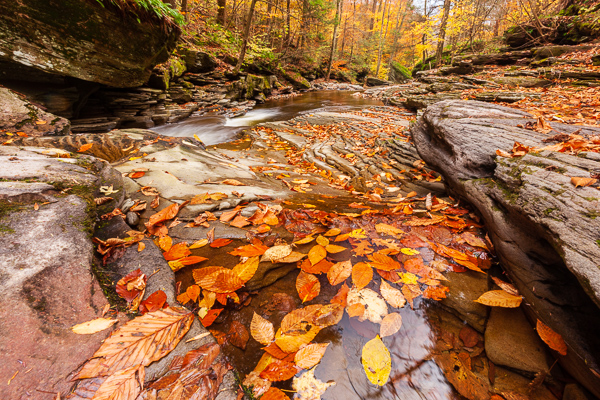 Autumn;Boulder;Boulders;Branches;Brown;Calm;Cascade;Chute;Creek;Fall;Fallen Leaves;Falls;Flow;Forest;Forested;Gold;Healthcare;Horizontal;Leaf;Minimalism;Nature;Pastoral;Pennsylvania;Pouring;Ricketts Glenn State Park;Ripple;River;Rock;Rock formations;Rocks;Rocky;Stone;Stones;Stream;Stream Bank;Streaming;Tan;Timber;Timberland;Tree;United States;Wabi Sabi;Water;Waterfalls;Waterscape;Wood;Woodland;Woods;Yellow;flowing;foliage;landscape;leaves;oneness;orange;peaceful;plants;rapids;reflection;reflections;restful;serene;soothing;tranquil;tree limbs;trees;waterfall;zen