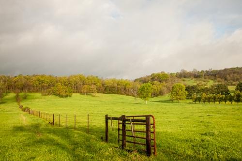 Agricultural;Agriculture;Blue;Brown;Calm;Cloud;Cloud Formation;Clouds;Farm;Farmland;Fields;Forest;Gate;Healing;Health care;Healthcare;Image type;Landscape;Mountain;Mountainous;Nature;Outdoor;Pastoral;Pastureland;Photo specs;Seasons;Spring;Springtime;Summer;Summertime;Tan;Tree;Warm Colors;Warm Palette;Warm Tones;Weather;color;fence;fence row;field;grass;green;landscape;oneness;pasture;peaceful;restful;serene;sky;soothing;tranquil;trees;zen
