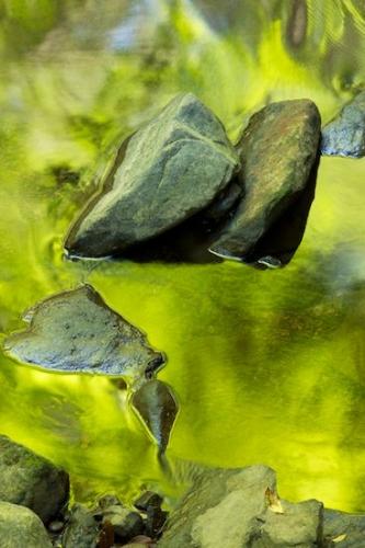 Stream;river;Rock;reflection;Foliage;Mirror;lake;Leaf;Rocks;Stones;Green;reflections;pond;Stone;Tennessee;Fiery Gizzard;water;Abstract