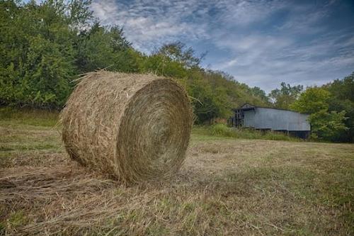 Barns;Field;Barn;Farming;Brown;Cloud;Hay Bale;Farmland;forest;Cloud Formation;Outdoor;Pasture;Sky;Tan;Agriculture;Fields;Landscape;Blue;Clouds;Hay;Gray;Pastureland;Weather;grass;Green;Agricultural;sky;Farm