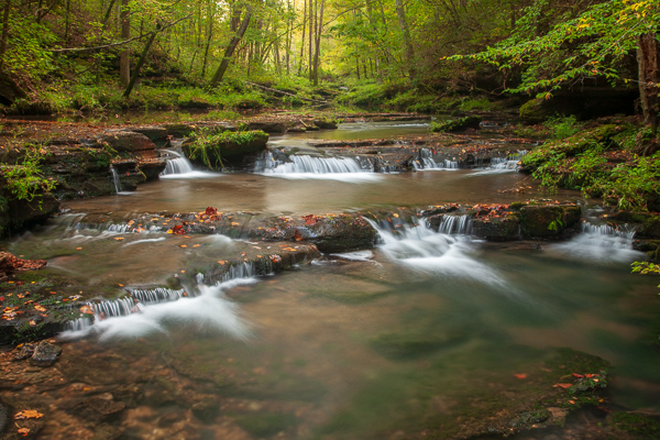 Botanical;Branches;Brook;Brown;Calm;Cascade;Cascading;Chute;Creek;Fallen;Fallen Leaves;Falling;Falls;Flow;Forest;Forested;Habitat;Healing;Health care;Healthcare;Leaf;Nature;Pastoral;Pouring;River;Riverbed;Short Springs State Natural Area;Spilling;Stream;Stream Bank;Streaming;Sunlight;Sunshine;Tan;Timber;Timberland;Tree;Veins;Wabi Sabi;Water;Waterfalls;Waterscape;Wood;Woodland;Woodlands;Woods;Yellow;flowing;foliage;green;landscape;leaves;limbs;oneness;peaceful;plant;plants;rapids;restful;river bank;serene;soothing;sunlit;tranquil;tree limbs;trees;waterfall;waterway;zen