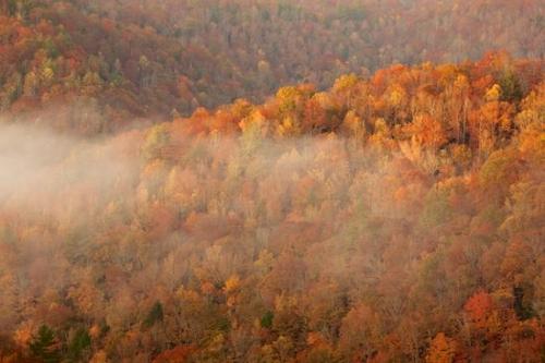 haze;Tan;Woodlands;Green;foggy;Woodland;fog;Gorge;Wood;Hilltop;Wooded area;Trees;Hills;Hillside;Cumberland Plateau;Big South Fork National Recreation Area;misty;Bluff;Mountain Top;Autumn;mist;Summit;Tree;Fall;Mountain;Mountainside;Orange;Timberland;Hillock;Forest;Timber;Mountains;Woods