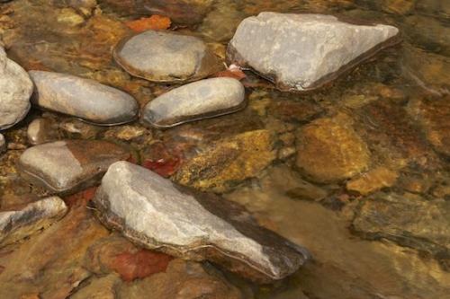 Rock;Autumn;Orange;river;Fall;Stone;Gray;Rocks;leaves;Creek;Stones;Brown;water;Tan;flowing;flow;Stream;close-up;Alabama;Little River Canyon National Preserve