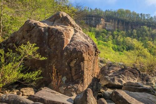 Big South Fork National River & Recreation Area;Bluff;Boulder;Boulders;Branch;Branches;Cliff;Geological;Geology;Green;Healing;Health care;Healthcare;Landscape;Leaves;Mountainous;Nature;Oneness;Pastoral;Peaceful;Pebbles;Precipice;Rock;Rock Face;Rock Formations;Rocks;Rocky;Spring;Springtime;Stone;Stones;Summit;Tree;Tree Trunk;Trees;calm;limbs;restful;serene;soothing;tranquil;tree limbs;zen
