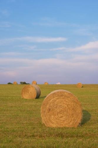 Hay Bale;Green;Tan;Cloud Formation;Farm;Agricultural;Pastureland;Field;Sky;Fields;Agriculture;Cloud;Weather;Blue;Farmland;Hay