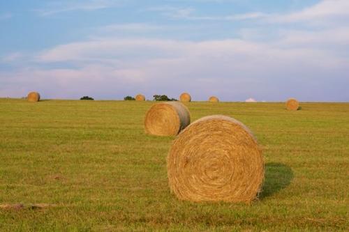 Agriculture;Tan;Hay Bale;Agricultural;Cloud;Green;Hay;Farmland;Field;Cloud Formation;Blue;Weather;Fields;Pastureland;Farm;Sky
