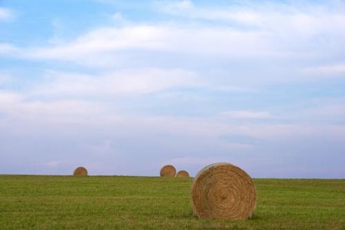Pastureland;Clouds;Fields;Tan;Hay Bale;Blue;Field;Green;Hay;Sky;Agricultural;Agriculture;Farm;Cloud Formation;grass;White;Brown;Cloud;Farmland
