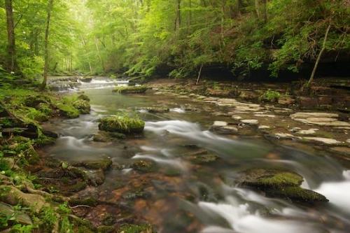 Wooded area;Rock Formations;Tan;Rock;Tennessee;Streaming;Rock Face;Water;Forest;Brown;Waterfalls;Woods;Rapids;Short Springs State Natural Area;Cascade;Stream;Cascading;Falls;Green;Waterfall;Pouring