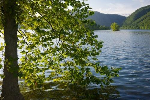Timber;Hillside;Tree;TNC;Mountain;Green;Chilhowee Lake;Forest;Peak;Woods;Hills;Mountains;Blue;Leaves;Mountainous;Brown;Hilltop;Mountainside;Hill;Tapoco;Timberland;Trees;Wood;Wooded area;Woodland;Woodlands;Bridging the Smokies;Pinnacle