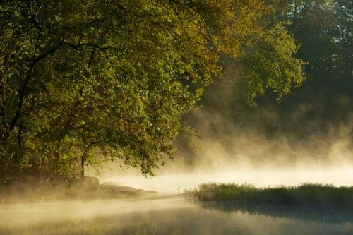Sun-up;Sunlit;tree;trees;water;branches;Yellow;Sunshine;Green;Sunrise;Sunlight;fog;river;Tan;Duck River;foggy;Morning;mist;Henry Horton;branch;River;haze;flowing