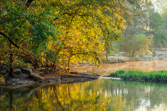 Autumn;Branches;Calm;Columbia;Duck River;Fall;Flow;Fog;Forest;Forested;Habitat;Healing;Health care;Healthcare;Henry Horton;Henry Horton State Park;Mirror;Mist;Nature;Obscured;Ripple;River;Rock;Rock formations;Rocks;State Park;Stone;Stones;Stream;Sunlight;Sunshine;Tennessee;Timber;Timberland;Tree;United States;Water;Waterscape;Wood;Woodland;Woods;flowing;foggy;foliage;haze;landscape;leaves;limbs;mist;misty;peaceful;pool;reflection;reflections;restful;river bank;serene;soothing;sunlit;tranquil;tree limbs;trees;trunk