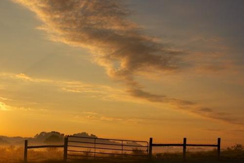 foggy;fence row;Peaceful;Pasture;haze;Yellow;Cloud Formation;misty;Oneness;Brown;Sky;Farm;zen;Blue;Sunlight;Sunrise;mist;Pastoral;fog;Agricultural;Clouds;Pastureland;Gold;Cloud;fence;Sun-up;Cloudy