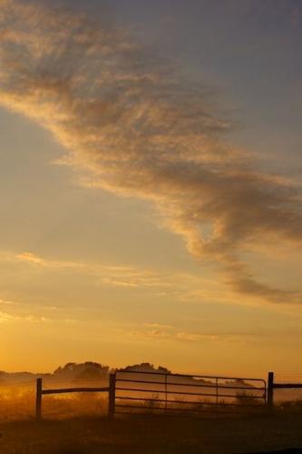Blue;Sun-up;fence;Cloud Formation;haze;Oneness;Pastoral;mist;Yellow;zen;Cloud;Cloudy;Pastureland;foggy;Peaceful;fog;Clouds;Sunlight;Sunrise;Brown;fence row;Farm;Gold;Agricultural;Pasture;Sky;misty