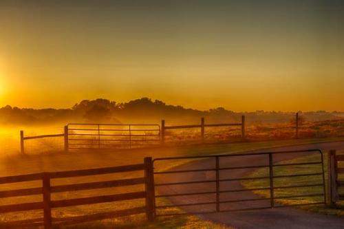 Agriculture;Cloud;Fence;Field;Fields;Gate;Oneness;Pastoral;Road;Sky;Sun-up;Sunlight;Sunlit;Sunrise;Sunshine;Trail;path;pathway;roadway