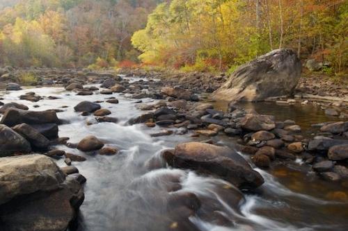 Gray;Stones;river;Pouring;flow;Pebbles;flowing;Stone;Gold;Autumn;Orange;Cascading;Red;Rocks;Boulders;Cascade;Rock;Little River Canyon;Stream;Boulder;Yellow;Tan;Fall;Green;Rapids;Streaming;Brown;Alabama;water