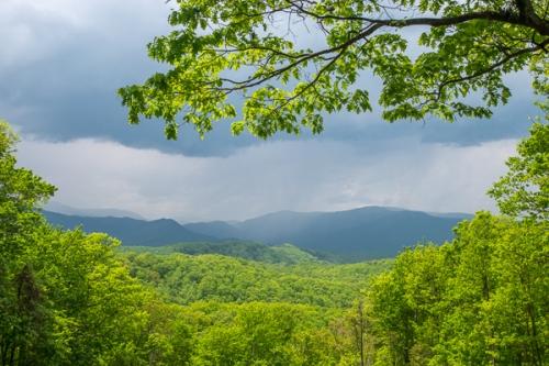 Blue;Bluff;Calm;Cloud;Cloudy;Forest;Forested;Great Smoky Mountains;Healing;Health care;Healthcare;Hill;Mountain;Mountain Side;Mountain Top;Mountainous;Mountains;Mountainside;Nature;Pastoral;Range;Seasons;Spring;Springtime;Summit;Timber;Timberland;Tree;Weather;Wood;Woodland;Woodlands;Woods;green;hillside;landscape;leaves;oneness;peaceful;restful;serene;sky;soothing;tranquil;trees;zen