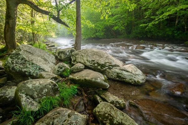 Alabama;Boulder;Boulders;Branches;Brown;Calm;Cascade;Cascading;Concepts;Cool Colors;Cool Palette;Cool Tones;Couchville Cedar Glade State Natural Area;Creek;Flow;Forest;Fort Payne;Great Smoky Mountains;Green;Greens;Habitat;Healing;Health care;Healthcare;Leaves;Little River;Little River Canyon National Preserve;Mountain;Nature;Oneness;Pastoral;River;Rock;Rocks;Rocky;Seasons;Spring;Springtime;Stone;Stones;Stream;Stream Bank;Sunlight;Sunshine;Tennessee;Timber;Timberland;Tree;United States;Water;Waterscape;color;flowing;green;landscape;limbs;peaceful;plants;rapids;restful;river bank;serene;soothing;sunlit;tranquil;tree;tree limbs;trees;trunk;zen