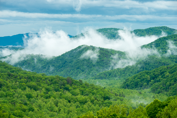 Blue;Branches;Calm;Cloud;Cloud Formation;Clouds;Concepts;Cool Colors;Cool Palette;Cool Tones;Fog;Forest;Forested;Great Smoky Mountains;Green;Greens;Habitat;Healing;Health care;Healthcare;Hill;Leaves;Mist;Mountain;Mountain Top;Mountainous;Mountains;Mountainside;Nature;Obscured;Oneness;Pastoral;Seasons;Spring;Springtime;Sunlight;Sunshine;Tennessee;Timber;Timberland;Tree;United States;Wood;Woodland;Woods;color;foggy;haze;hillside;landscape;limbs;mist;misty;peaceful;plants;restful;serene;sky;soothing;sunlit;tranquil;tree;tree limbs;trees;zen