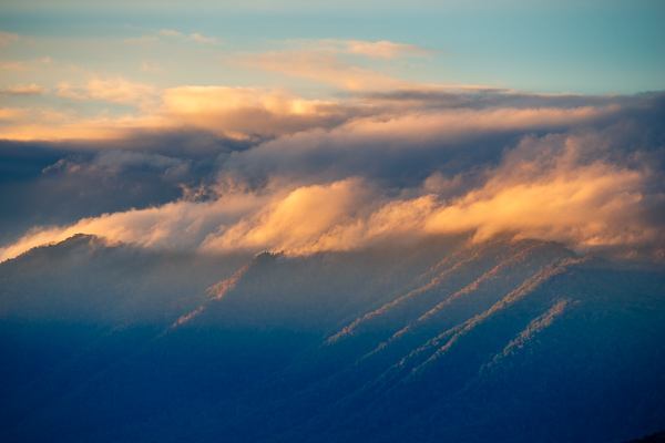 Autumn;Blue;Calm;Cloud;Cloud Formation;Clouds;Cloudy;Fall;Fog;Forest;Forested;Healing;Health care;Healthcare;Hill;Mist;Mountain;Mountain Side;Mountainous;Nature;Obscured;Pink;Sunlight;Sunshine;Timber;Timberland;Weather;Wood;Woodland;Woods;Yellow;dawn;daybreak;foggy;haze;hillside;landscape;leaves;mist;misty;morn;morning;oneness;orange;peaceful;red;restful;serene;sky;soothing;sunlit;sunrise;sunup;tranquil;trees