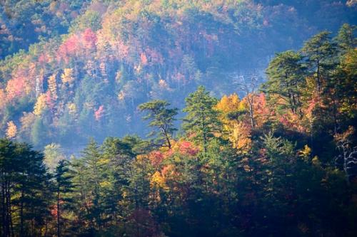 Autumn;Bluff;Calm;Fall;Forest;Forested;Gold;Healing;Health care;Healthcare;Mountain;Mountain Side;Mountain Top;Mountainous;Mountains;Nature;Pastoral;Peak;Pogue Creek;Precipice;Rock Face;Summit;Tan;Timber;Timberland;Tree;Wood;Woodland;Woodlands;Woods;Yellow;cliff;foliage;green;landscape;leaves;oneness;orange;peaceful;red;restful;serene;soothing;tranquil;trees;zen