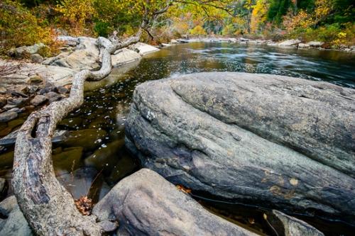 Autumn;Boulder;Boulders;Branches;Brook;Brown;Clear Creek;Creek;Fall;Flow;Gold;Obed River;Obed Wild and Scenic Riverway;Pastoral;Ripple;River;Rock;Rock formations;Rocks;Rocky;Stone;Stones;Stream;Stream Bank;Tan;Tree;Water;Yellow;artsite;bark;flowing;green;leaves;limbs;orange;peaceful;rapids;red;reflection;reflections;river bank;tree limbs;trees;trunk;zen