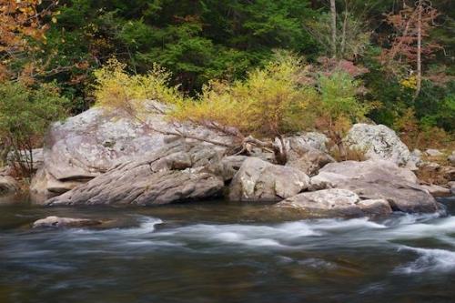 Cascade;Water;Boulder;Green;flowing;Stone;Brown;Rock;Boulders;Rapids;Trees;Rocks;Forest;Red;flow;Tree;Stream;Pouring;river;Yellow;Gray