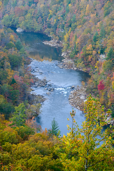 Autumn;Big South Fork;Blue;Boulder;Boulders;Brown;Calm;Concepts;Cool Colors;Cool Palette;Cool Tones;Creek;Fall;Flow;Forest;Forested;Gold;Green;Greens;Habitat;Healing;Health care;Healthcare;Hill;Leaves;Minimalism;Mountain;Mountain Side;Mountainous;Nature;Oneida;Oneness;Pastoral;River;Rock;Rocks;Rocky;Stone;Stones;Stream;Stream Bank;Tennessee;Timber;Timberland;United States;Water;Waterscape;Wood;Woodland;Woods;Yellow;color;flowing;hillside;landscape;peaceful;plants;rapids;reflection;reflections;restful;river bank;serene;soothing;tranquil;trees;zen