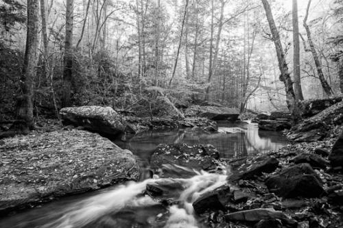 Autumn;Black and White;Botanical;Boulder;Boulders;Branches;Calm;Cascade;Chute;Creek;Fall;Fallen;Fallen Leaves;Falls;Flow;Forest;Forested;Healing;Health care;Healthcare;Leaf;Nature;Pastoral;Pouring;River;Rock;Rock formations;Rocks;Rocky;Stone;Stones;Stream;Stream Bank;Streaming;Timber;Timberland;Tree;Water;Waterfalls;Wood;Woodland;Woodlands;Woods;flowing;foliage;landscape;leaves;limbs;oneness;peaceful;rapids;restful;river bank;serene;soothing;tranquil;tree limbs;trees;trunk;waterfall;zen