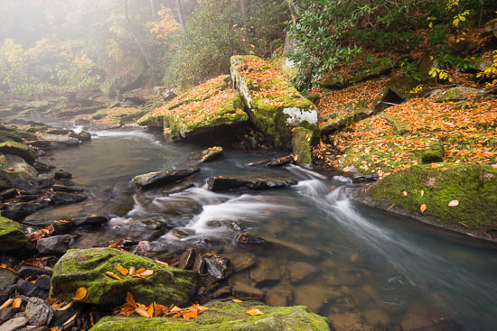 Boulder;Boulders;Brown;Cascade;Chute;Fallautumn;Forest;Forested;Gold;Green;Leaves;Orange;Pouring;Rapids;Rock;Rock Formations;Rocks;Stone;Stones;Stream;Streaming;Timber;Timberland;Trees;Wood;Woodland;Woods;Yellow