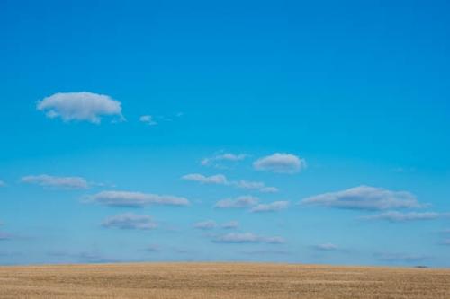 Blue;Blue Sky;Clouds;Field;Gold;Grass;Horizon;Sky;Tan;pasture