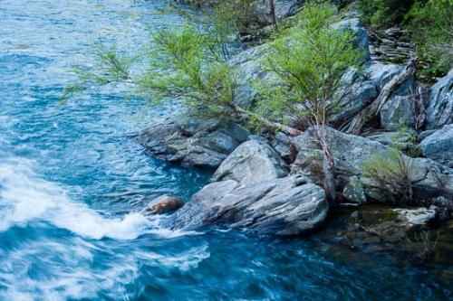 Blue;Boulder;Boulders;Branches;Green;Leaves;Obed Wild and Scenic Riverway;Oneness;Rapids;River;Rock;Streaming;Tree;Trees;Trunk;obed;zen