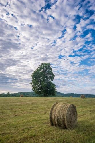 Agricultural;Bale;Blue;Cloud;Cloud Formation;Clouds;Cloudy;Field;Grass;Green;Hay;Hill;Hillside;Landscape;Mountain;Sky;Tree;Trees;Yellow;pasture