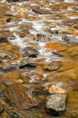 Brown;Cascade;Creek;Falls;Flow;Gold;Looking Glass Creek;North Carolina;Orange;Pouring;Rapids;River;Rock;Rocks;Stone;Stones;Stream;Streaming;Tan;Water;Yellow;flowing