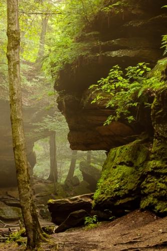 Bluff;Boulder;Boulders;Brown;Calm;Canyon;Crag;Escarpment;Fog;Forest;Forested;Geological;Geology;Gold;Healing;Health care;Healthcare;Hiking Trail;Indiana;Leaf;Ledge;Mist;Moss;Nature;Obscured;Pastoral;Precipice;Rock;Rock Face;Rock formations;Rocks;Rocky;Sheer;Steep;Stone;Stones;Tan;Timber;Timberland;Tree;Turkey Run State Park;Water;Wood;Woodland;Woods;bark;cliff;foggy;foliage;green;haze;landscape;leaves;misty;oneness;peaceful;restful;serene;soothing;striation;trail;tranquil;trees;trunk;zen