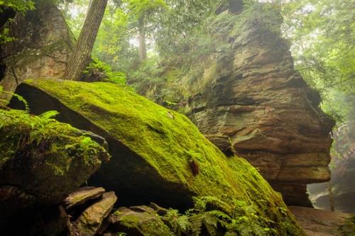 Boulder;Boulders;Brown;Cascade;Chute;Falls;Forest;Forested;Geological;Geology;Green;Moss;Pouring;Rapids;River;Rock;Rock Formations;Rocks;Rocky;Stones;Streaming;Striation;Tan;Timberland;Trees;Waterfall;Waterfalls;Woodland;Woods