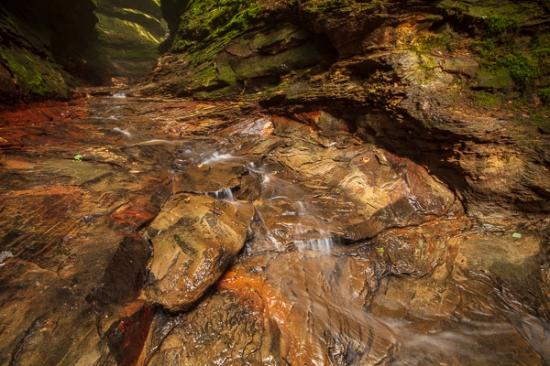 Abstract;Brown;Calm;Cascade;Cascading;Creek;Falls;Flow;Gold;Gorge;Healing;Health care;Healthcare;Moss;Nature;Pastoral;Pouring;Stream;Streaming;Sunlight;Sunshine;Tan;Water;Waterfalls;Waterscape;Yellow;flowing;green;landscape;oneness;orange;peaceful;rapids;reflection;reflections;restful;serene;soothing;sunlit;tranquil;waterfall;zen