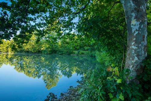 Blue;Branches;Calm;Forest;Forested;Healing;Health care;Healthcare;Mirror;Nature;Ohio;Pastoral;Plant;Reservoir;Seasons;Spring;Springtime;Sunlight;Sunshine;Timber;Timberland;Tree;Water;Waterscape;Woodland;Woodlands;Woods;bark;branch;foliage;green;lake;landscape;leaves;oneness;peaceful;plant;plants;pond;pool;reflection;reflections;restful;serene;sky;soothing;sunlit;tranquil;tree limbs;tree trunk;trees;trunk;zen