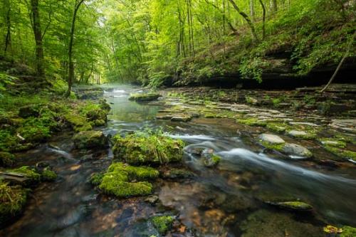 Boulder;Cascading;Forest;Forested;Mist;Pouring;Rock;Rocks;Short Springs State Natural Area;Stream;Timberland;Trees;Water;Woodland;Woods;fog;foggy;misty;noss
