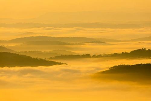 Gold;Hill;Hills;Hillside;McCloud Mountain;Mist;Mountainous;Mountains;Obscured;Orange;Tan;Yellow;fog;foggy;haze;misty;zen