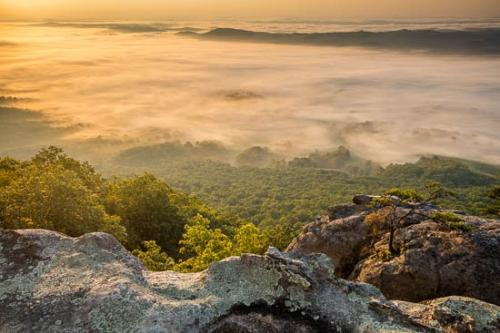 Bluff;Break of Day;Cliff;Close-up;Dawn;Daybreak;First Light;Forest;McCloud Mountain;Mist;Morning;Mountain;Mountain Top;Mountainous;Obscured;Oneness;Pastoral;Peaceful;Sun-up;Sunlight;Sunshine;Timber;Timberland;Trees;Valley;Woods;fog;foggy;haze;misty