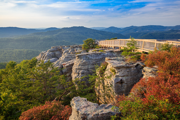 Autumn;Blue;Bluff;Boulder;Boulders;Branches;Brown;Calm;Cloud Formation;Clouds;Cool Colors;Cool Palette;Cool Tones;Fall;Forest;Forested;Gold;Green;Greens;Habitat;Healing;Health care;Healthcare;Hill;Leaves;McCloud Mountain;Mountain;Mountain Side;Mountain Top;Mountainous;Nature;Pastoral;Rock;Rock formations;Rocks;Rocky;Stone;Stones;Summit;Sunlight;Sunshine;Tan;Tennessee;Timber;Timberland;Tree;United States;Wood;Woodland;Woods;Yellow;bark;cliff;color;hillside;landscape;limbs;peaceful;plants;restful;serene;sky;soothing;stump;sunlit;tranquil;tree;tree limbs;trees;trunk