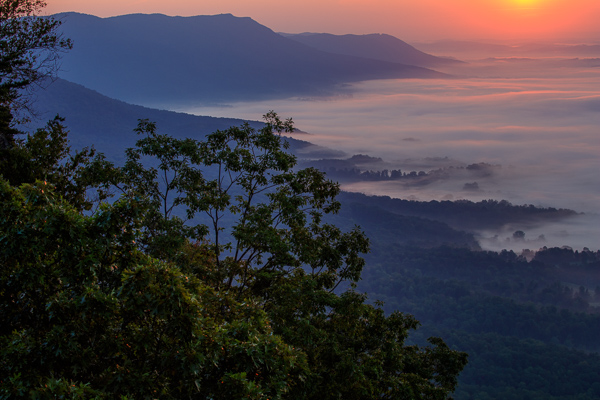 Blue;Bluff;Branches;Calm;Cloud;Cloud Formation;Clouds;Fog;Forest;Forested;Habitat;Healing;Health care;Healthcare;Hill;Leaf;Looking up;McCloud Mountain;Minimalism;Mist;Mountain;Mountain Top;Mountainous;Nature;Obscured;Pastoral;Pink;Summit;Sunlight;Timber;Timberland;Tree;Wood;Woodland;Woods;dawn;daybreak;foggy;green;haze;landscape;leaves;limbs;magenta;mist;misty;morn;morning;oneness;peaceful;purple;restful;serene;sky;soothing;sunlit;sunrise;sunup;tranquil;tree limbs;trees;zen