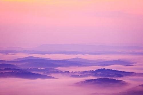 Bluff;Hill;Magenta;McCloud Mountain;Mist;Mountain;Mountain Top;Mountainous;Obscured;Oneness;Pastoral;Peaceful;Pink;Purple;Summit;fog;foggy;haze;misty;zen